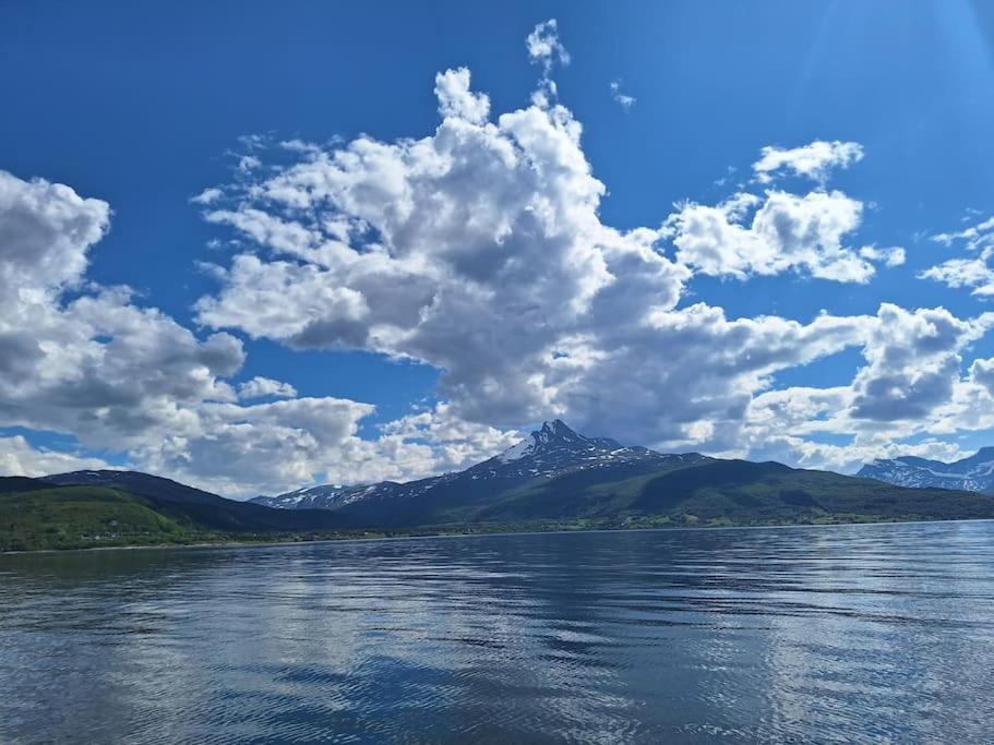 Privat Leilighet Pa Gard Med Badstue Og Nordlys Narvik Exterior photo